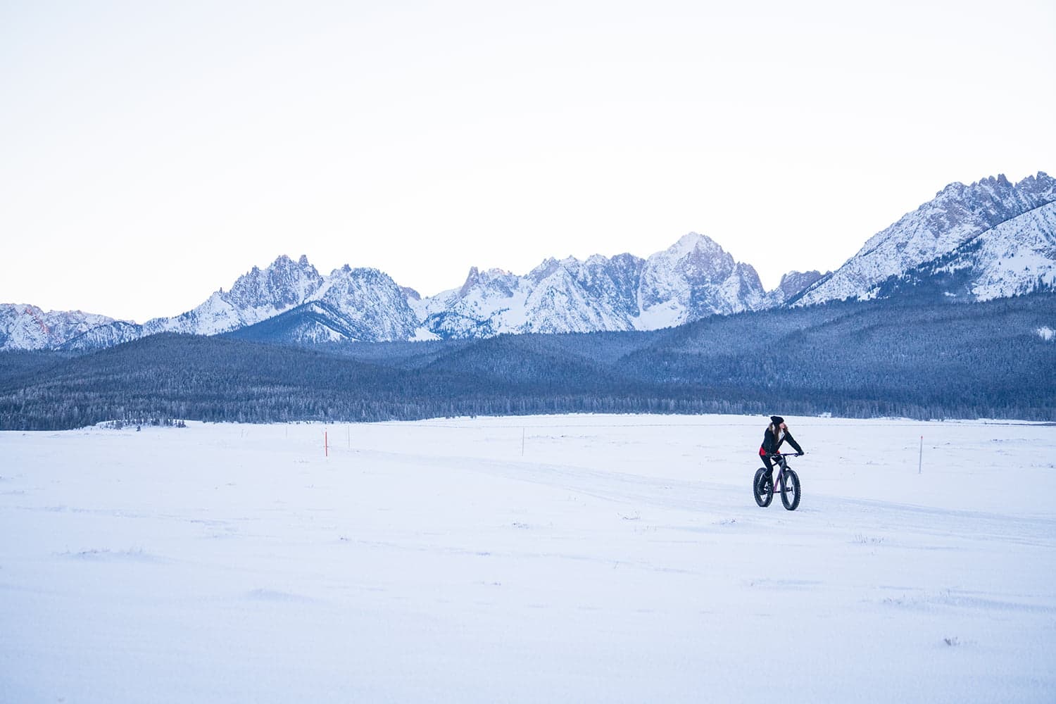 A person rides a fat bike across a snowy landscape with mountains in the background.